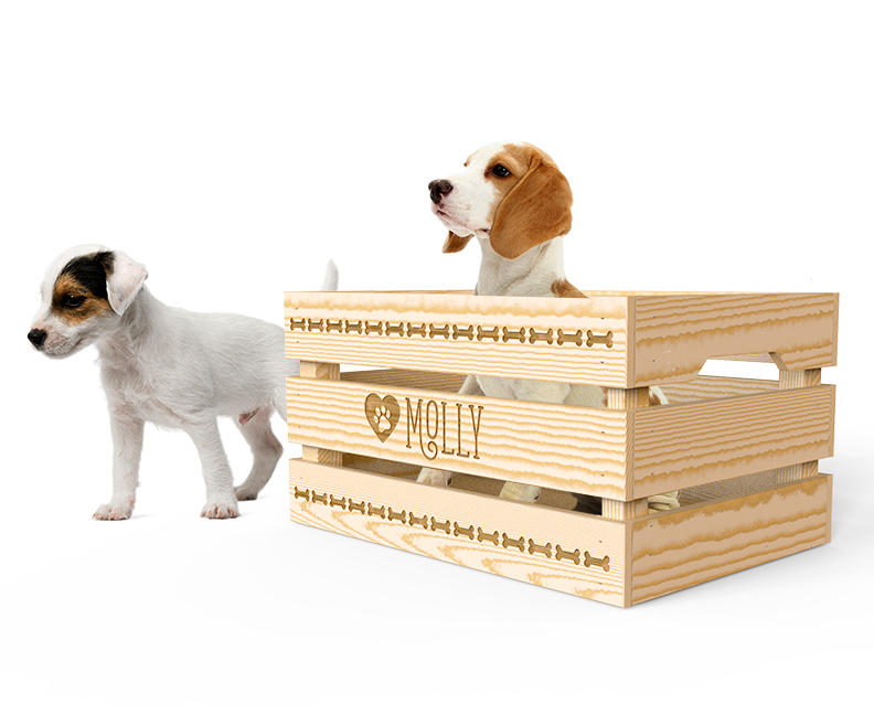 Pet Toy Box, Dog Toy Box, Dog Toy Storage, Dog Toy Bin, Dog Toy Container, Pet Personalization, Pet Storage, Dog Furniture, Dog Supplies CR2